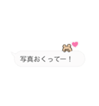 しんぷるくまの使える愛され吹き出し❤︎（個別スタンプ：39）