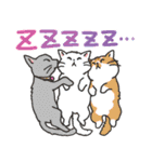 しぃちゃん スタンプ（個別スタンプ：21）