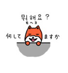 笑う犬シバ～韓国語～（個別スタンプ：1）