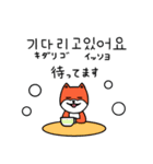 笑う犬シバ～韓国語～（個別スタンプ：4）