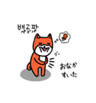 笑う犬シバ～韓国語～（個別スタンプ：5）
