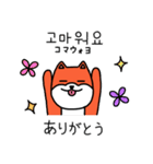 笑う犬シバ～韓国語～（個別スタンプ：24）
