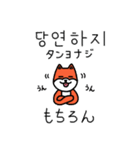 笑う犬シバ～韓国語～（個別スタンプ：35）