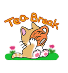 猫丸の日々（個別スタンプ：1）