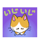 猫丸の日々（個別スタンプ：5）