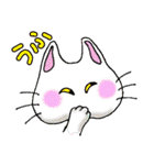 猫丸の日々（個別スタンプ：6）