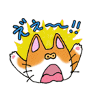 猫丸の日々（個別スタンプ：8）