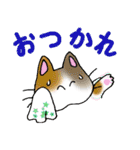 猫丸の日々（個別スタンプ：10）