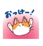 猫丸の日々（個別スタンプ：12）