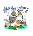 猫丸の日々（個別スタンプ：14）