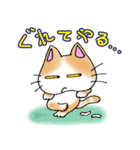 猫丸の日々（個別スタンプ：15）