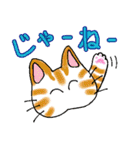 猫丸の日々（個別スタンプ：18）