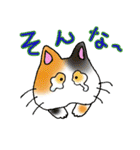 猫丸の日々（個別スタンプ：24）
