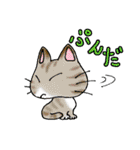 猫丸の日々（個別スタンプ：27）