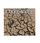 「草生える」の色々な言い方（個別スタンプ：23）