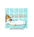 Tiger Little Gus（個別スタンプ：6）