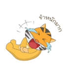 Tiger Little Gus（個別スタンプ：15）