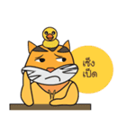 Tiger Little Gus（個別スタンプ：39）