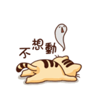 WHO CAREs Cat 3（個別スタンプ：21）
