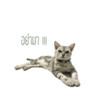 Dtualek（個別スタンプ：18）