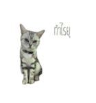 Dtualek（個別スタンプ：21）