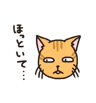 姪と実家猫（個別スタンプ：13）