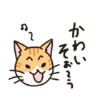 姪と実家猫（個別スタンプ：16）
