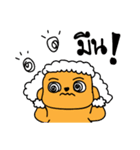 Poody is a dog poodle（個別スタンプ：14）