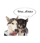 My Lucky dogs II（個別スタンプ：14）