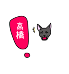 高橋さんスタンプ （犬Ver.）（個別スタンプ：13）