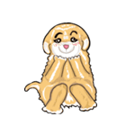 Cookie and Caramel（個別スタンプ：18）