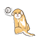 Cookie and Caramel（個別スタンプ：31）