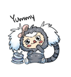 Lady Marmoset（個別スタンプ：34）