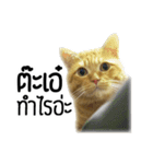 Magrood V.1（個別スタンプ：1）