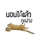 Magrood V.1（個別スタンプ：7）