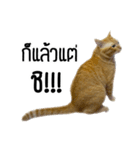 Magrood V.1（個別スタンプ：10）