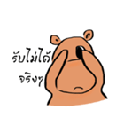 Polar（個別スタンプ：8）