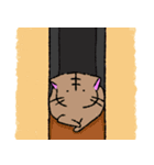 和風な猫のほのぼの日常（個別スタンプ：1）