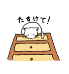 和風な猫のほのぼの日常（個別スタンプ：22）