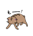 和風な猫のほのぼの日常（個別スタンプ：27）