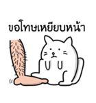 This cat（個別スタンプ：13）