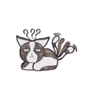 Kitty Hate Smile（個別スタンプ：2）