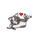 Kitty Hate Smile（個別スタンプ：3）