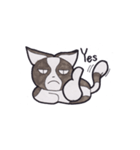Kitty Hate Smile（個別スタンプ：5）