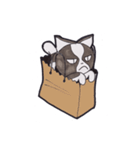 Kitty Hate Smile（個別スタンプ：19）