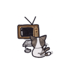 Kitty Hate Smile（個別スタンプ：21）