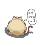 Tone Meaw Thai（個別スタンプ：3）