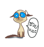 Tone Meaw Thai（個別スタンプ：6）