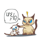 Tone Meaw Thai（個別スタンプ：8）