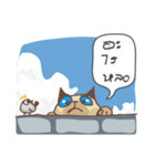 Tone Meaw Thai（個別スタンプ：9）